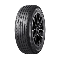 215/65R17 opona TRIANGLE AdvanteX TC101 XL 103W